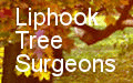 Liphook Tree Surgeons offer a full range of arboricultural services from planting right through to felling and stump grinding.